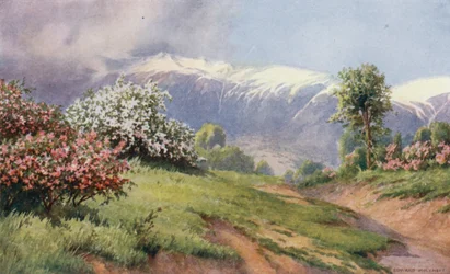 La Terra delle Rose
